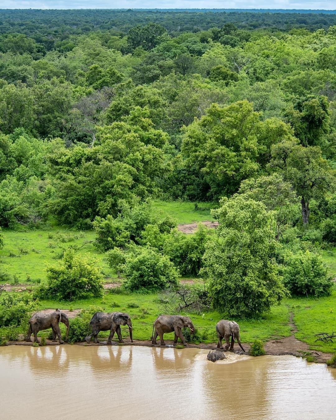 Northern Safari Expedition — Mole, Larabanga & Paga