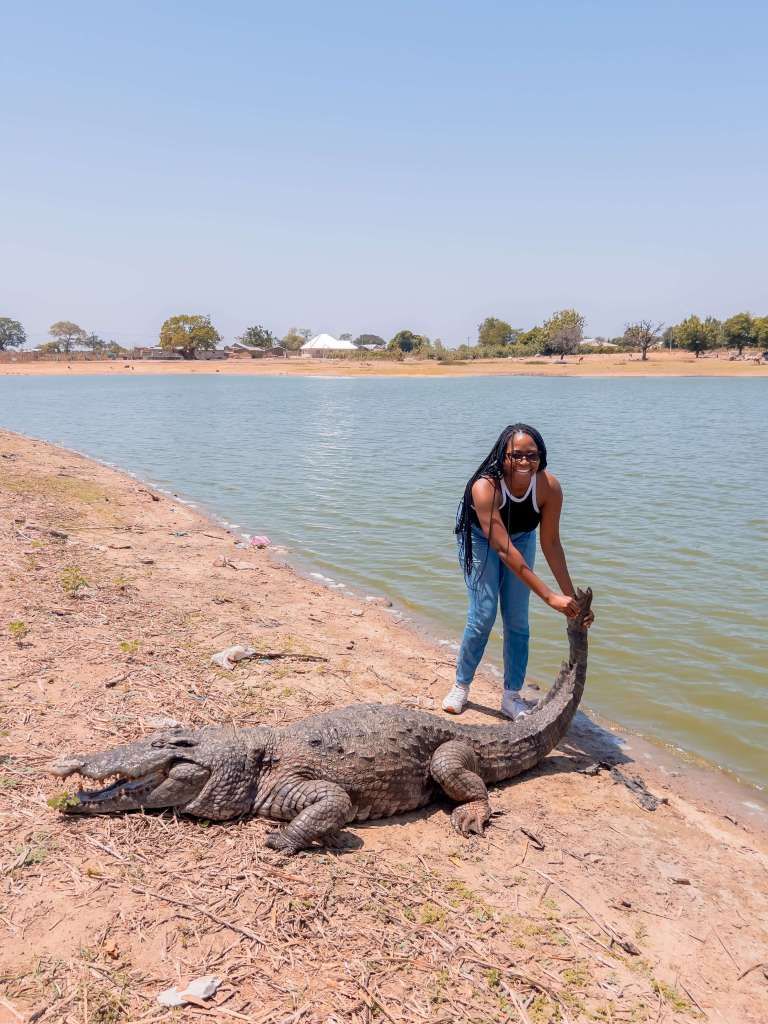 Paga crocodile encounter