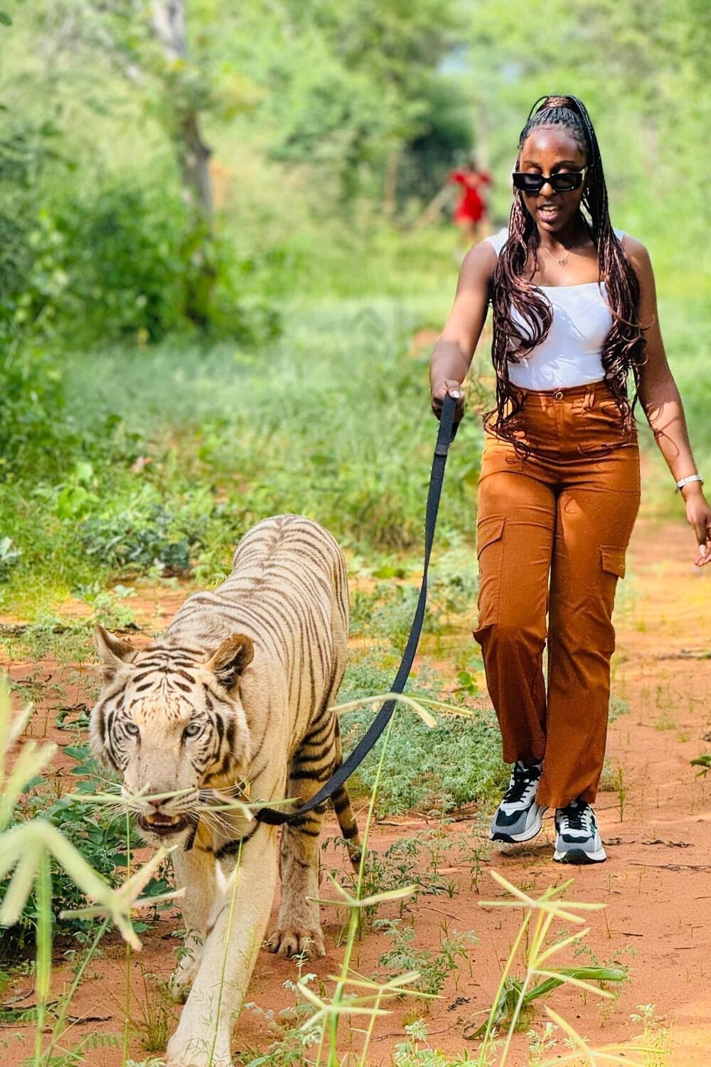 Wildlife encounter